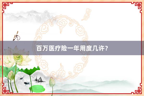百万医疗险一年用度几许?