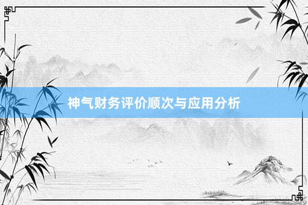 神气财务评价顺次与应用分析