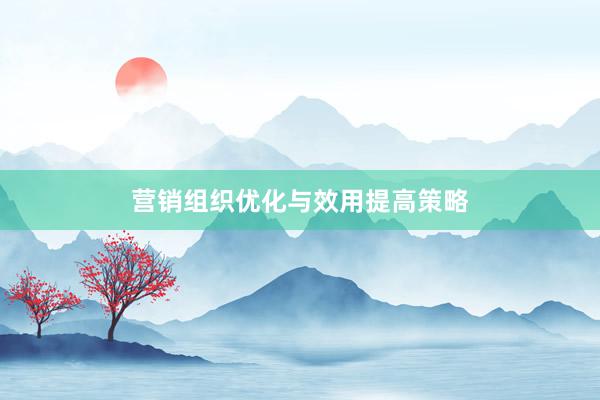 营销组织优化与效用提高策略